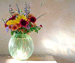 Flower Arrangement in vase