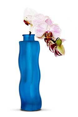 Orchid in blue vase